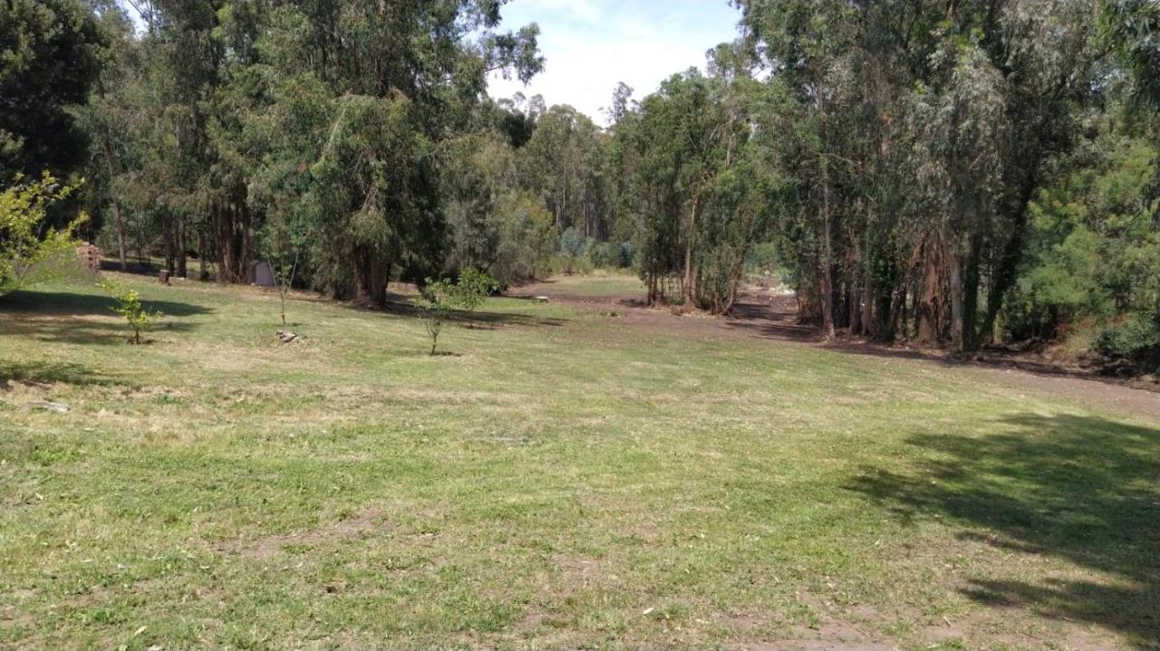 فيلا El Bosque De Las Animas تانديل المظهر الخارجي الصورة